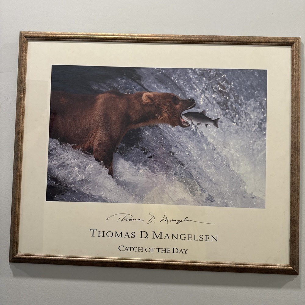 Framed Large Thomas D. Mangelsen Catch of the Day Photo Signed Art Print